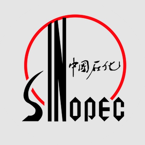 SINOPEC INTERNATIONAL PETROLEUM SERVICE MEXICO