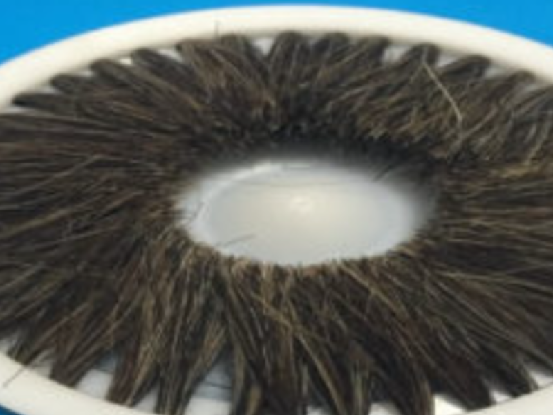 CEPILLO CERDA NATURAL México