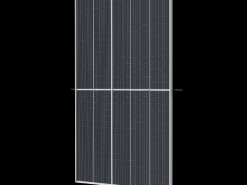 Modulo DE19R Nueva Leon 