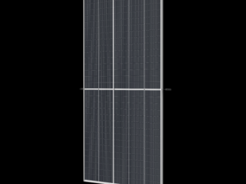 Modulo DE19 5Nueva Leon 
