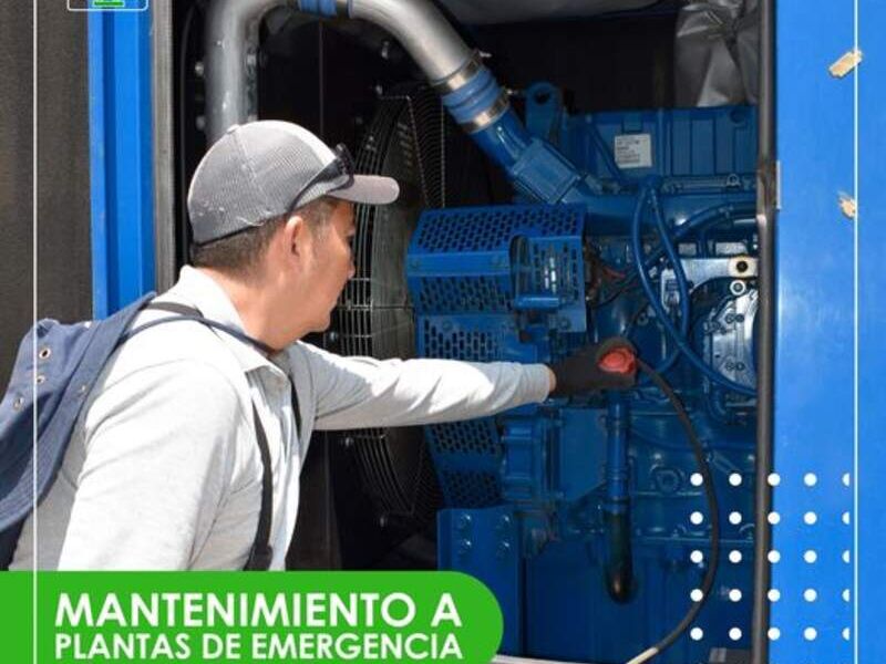 Plantas emergencia FR CONSTRUCCION Y SERVICIO