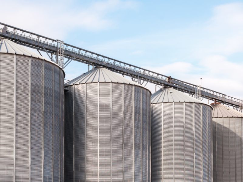 Pasos de Gatos para Silos Industria Real