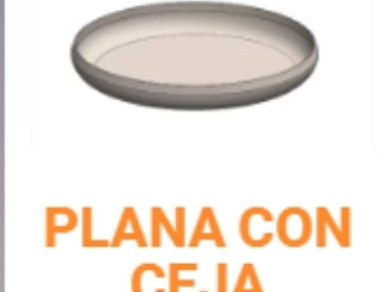 Plana con ceja MELTER Mexico
