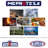 MEPROTESA 