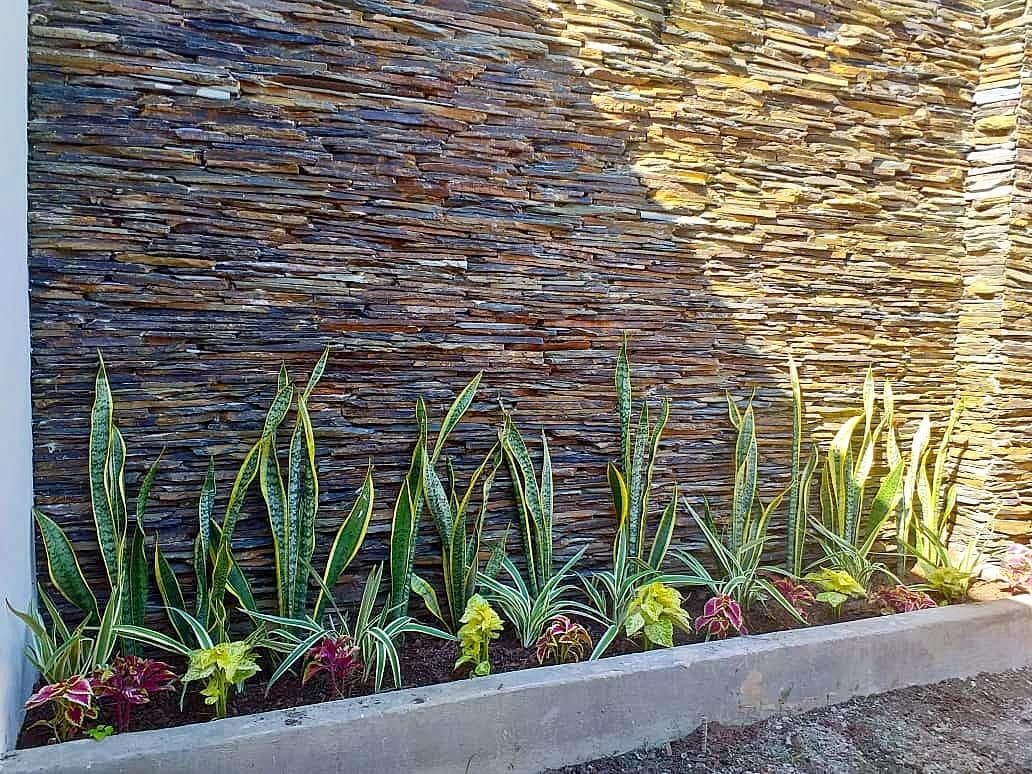 Revestimiento Pared Exterior México Construcciones MC
