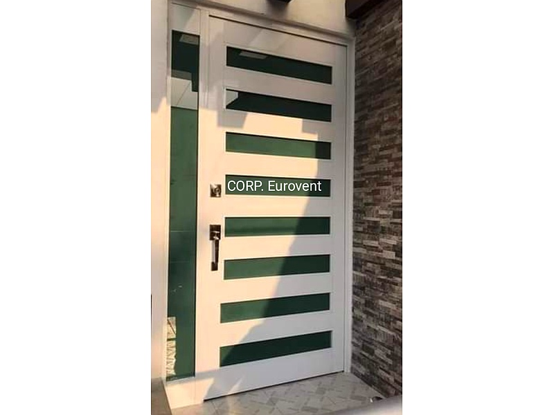 Puerta de Metal y vidrio blanca, México