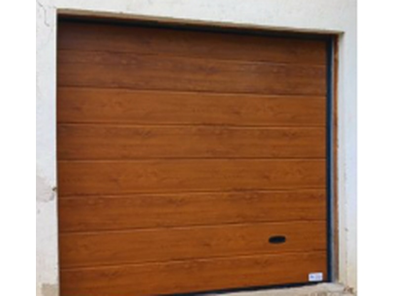 Puerta Automática México