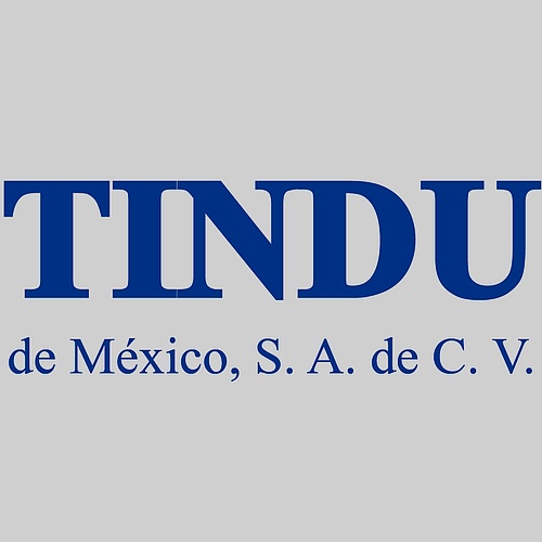 Tindu De / México, S.A. De C.V.