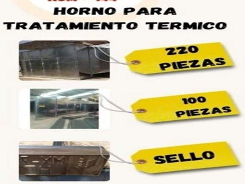 Hornos para tratamiento térmico 