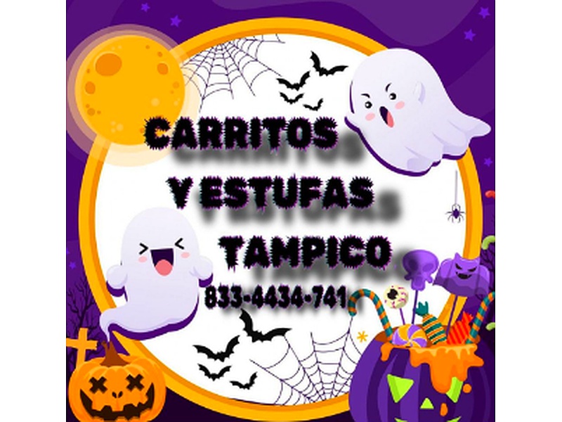 Carritos y Estufas Industriales Tampico