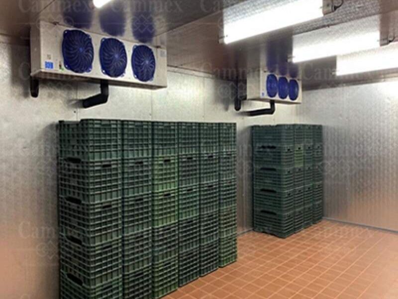 Cámaras de refrigeración Alimentos