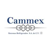 Grupo Cammex