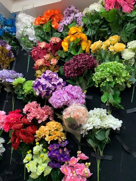 Plantas
