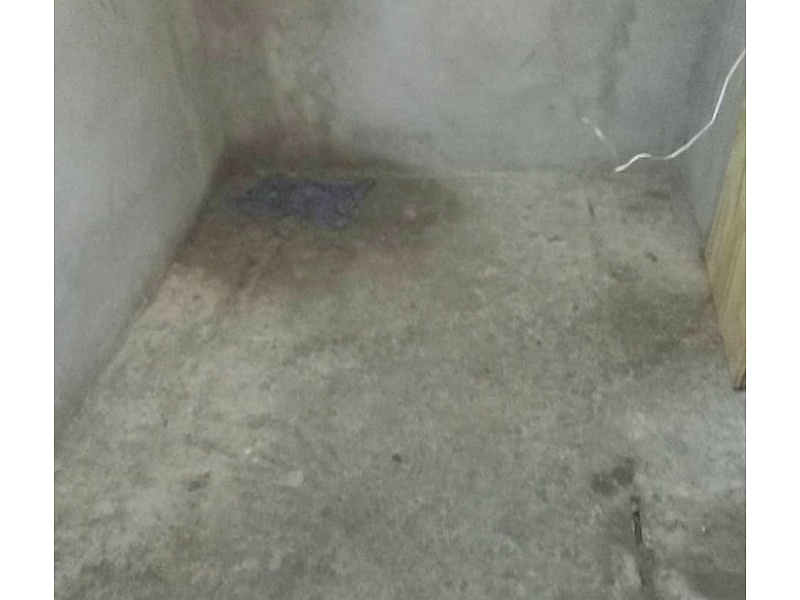 MANTENIMIENTO DE HUMEDAD EN PATIO MEXICO