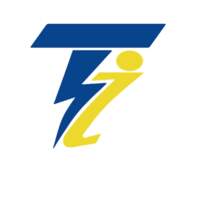 Transfelec Industrial  SA de CV