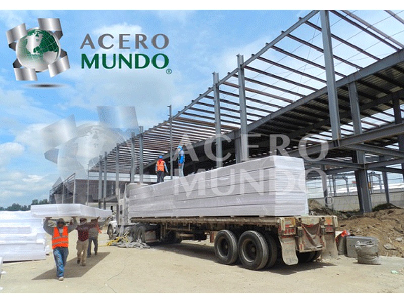 Perfil estructural México