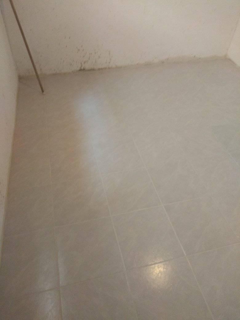 Piso deVinilo México