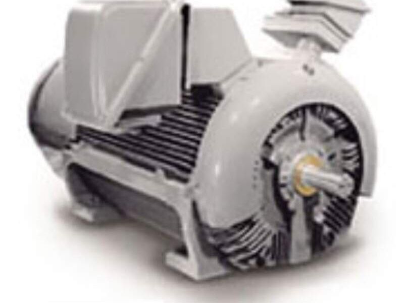 Motor Global-Plus MOTORES ELÉCTRICOS VACA 