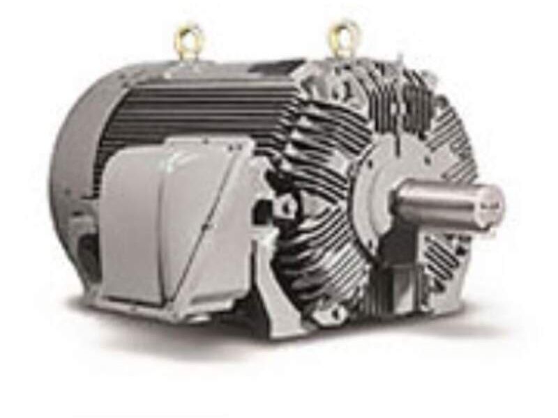 Motor Alto Rudo MOTORES ELÉCTRICOS VACA