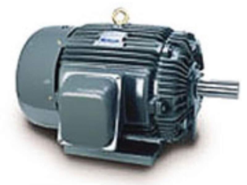 Eficiencia premium MOTORES ELÉCTRICOS VACA
