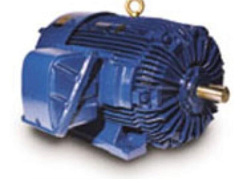 Motor eficiencia MOTORES ELÉCTRICOS VACA