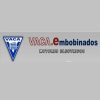 MOTORES ELÉCTRICOS VACA
