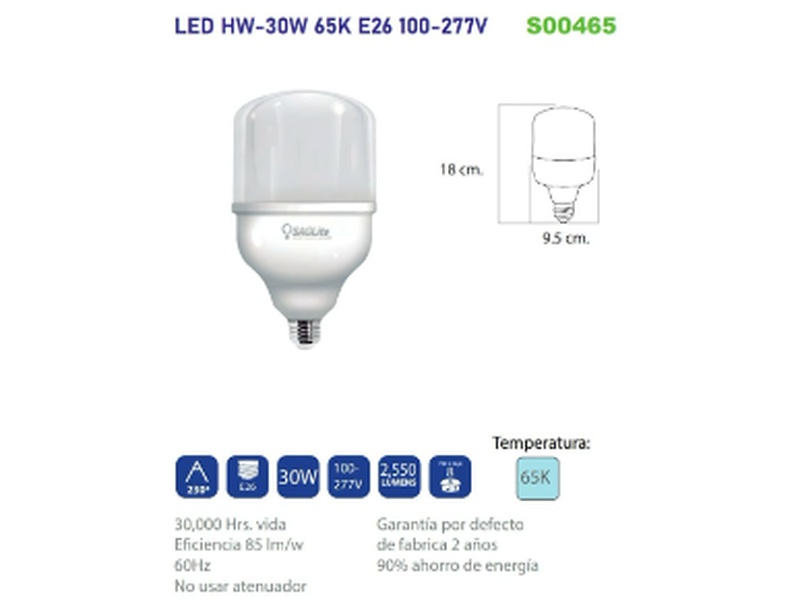Foco Led HW 30W Tijuana