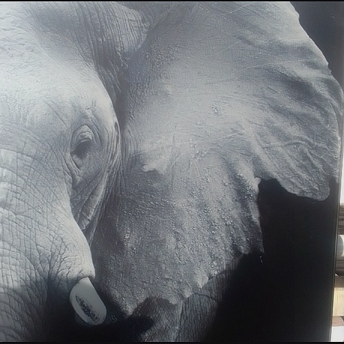 Vidrio y Aluminio Maya