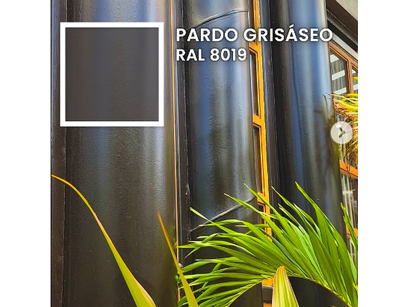 Pintura Pardo Grisáseo México
