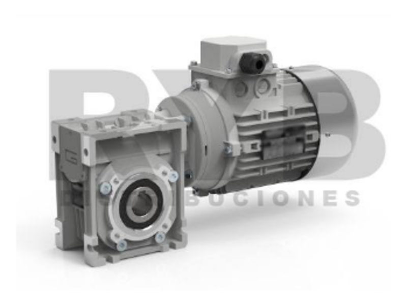Motorreductor Sin Fin RYB DISTRIBUCIONES 