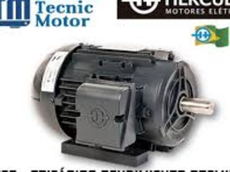 MOTOR LE BCF Suerte MX