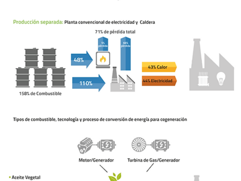 Seguridad  DE LA COGENERACIÓN Leon