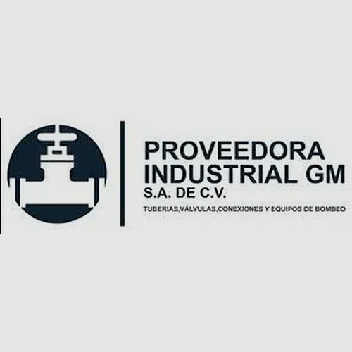 Proveedora Industrial GM