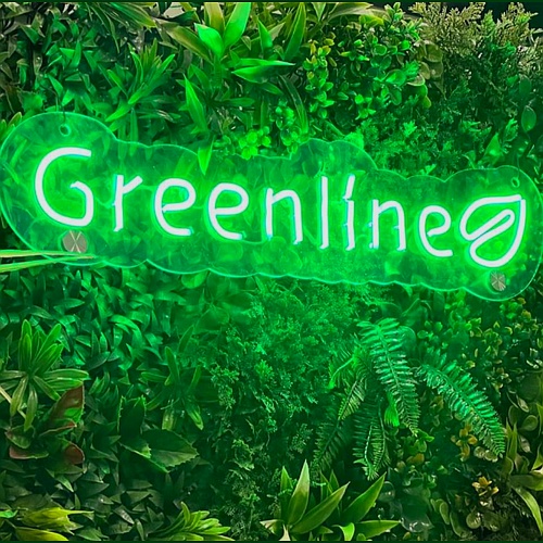 Greenline Tijuana, Muros Verdes, Pasto Sintetico, deck, plafon y lambrin pvc