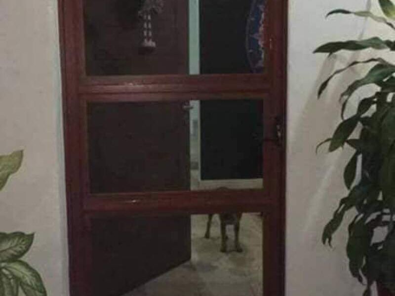 Puertas de Aluminio en Puerto Vallarta