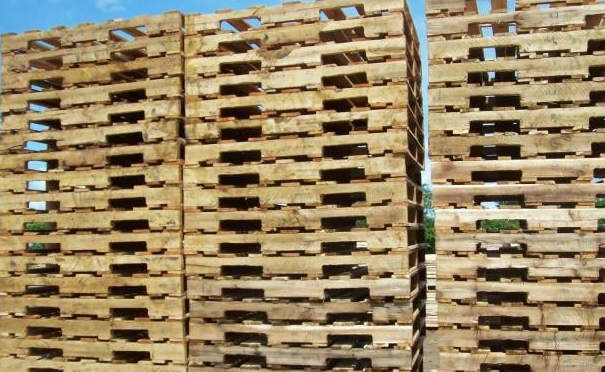 Tarimas Madera Nativa Mexico