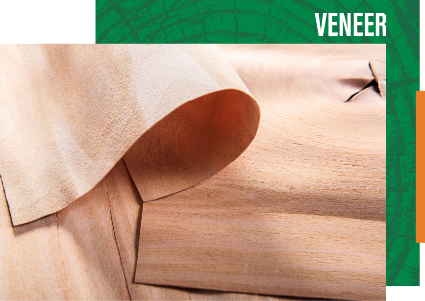 Chapas Madera México Timber products Cuale