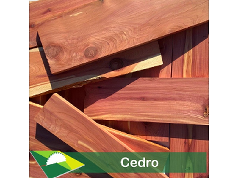madera de cedro Michoacán Maderería Grupo Madeli