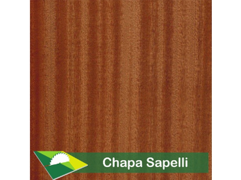 chapa sapelli Michoacán Maderería Grupo Madeli