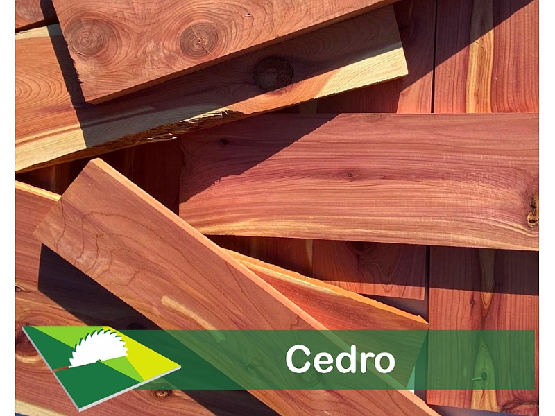 Madera Cedro México Maderería Grupo Madeli