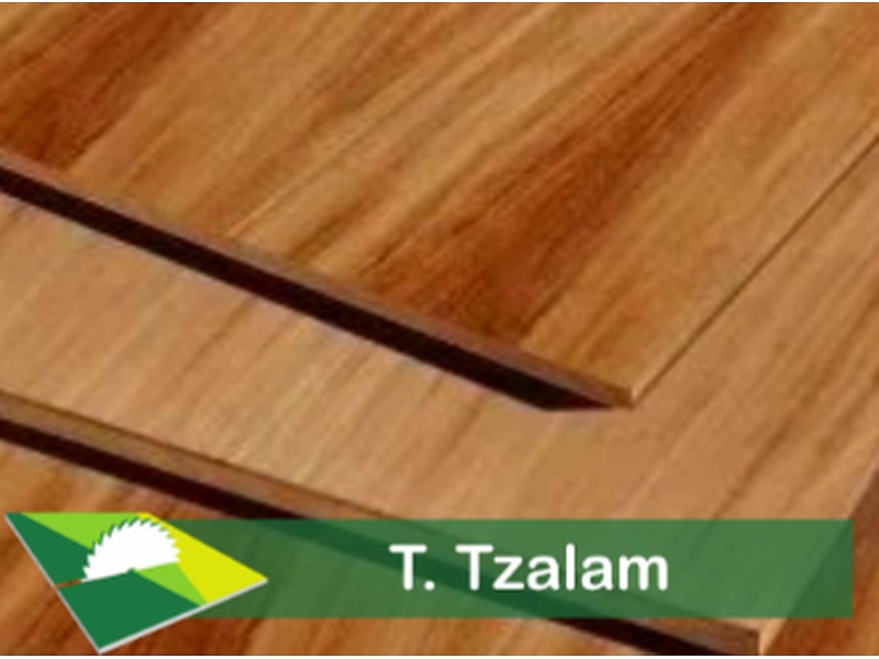 Tablero Tzalam México Maderería Grupo Madeli
