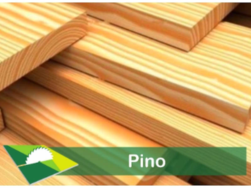 Madera Pino México Maderería Grupo Madeli