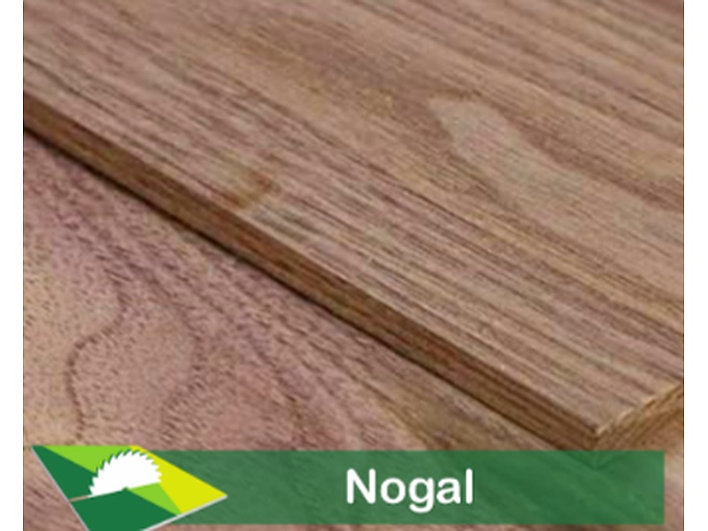Madera Nogal México Maderería Grupo Madeli