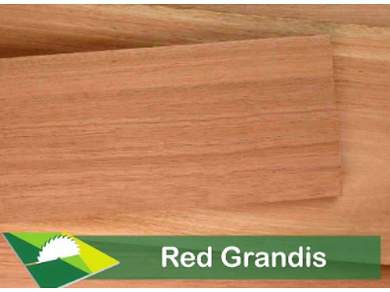 Madera Red Grandis México Maderería Grupo Madeli