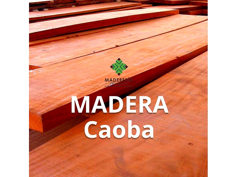 Tableros de madera caoba Mexico
