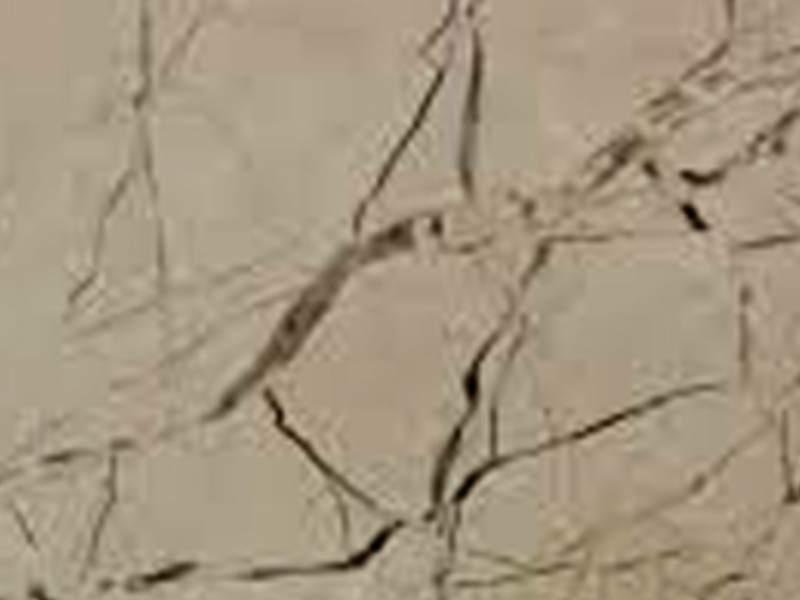 Beige Maya D'Marmol