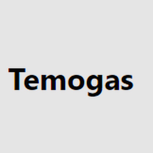 Temogas de Los Cabos