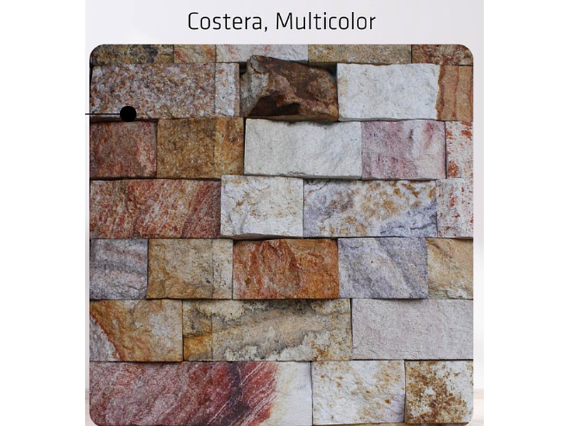 Costera multicolor Veracruz