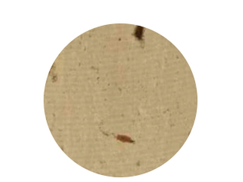 Mármol Fiorito México