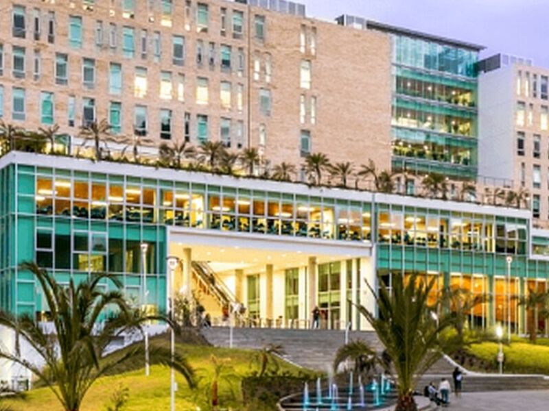 Proyecto Civil Universidad México